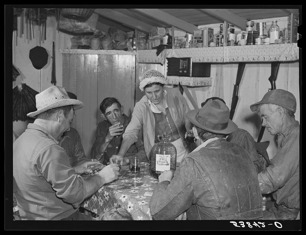 Spanish muskrat trappers drinking wine and playing "cache," a form of poker, in their camp in the marshes. Delacroix Island…