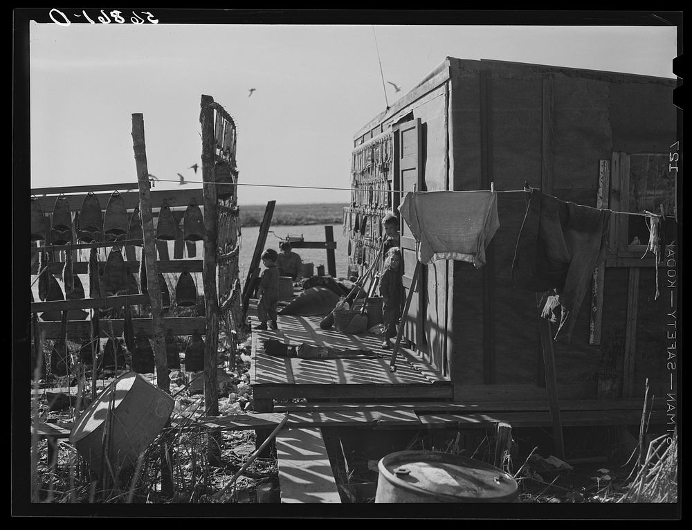 Muskrat skins hanging dry Spanish Free Photo rawpixel