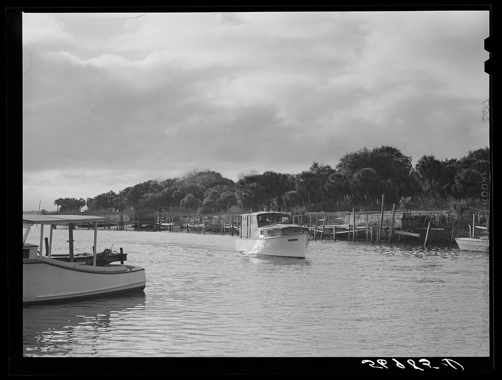 Returning from fishing, guests of Sarasota trailer park glide into docks. Sarasota, Florida. Sourced from the Library of…