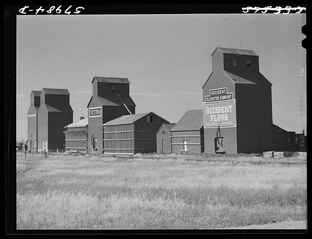Building additional storage space for bumper wheat crop. Grain elevators in Homestead, Montana. Sourced from the Library of…