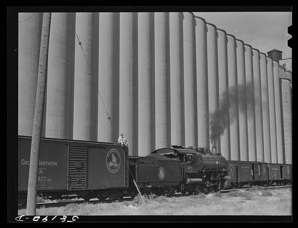 Grain storage, elevators and freight trains. Great Falls Montana. Sourced from the Library of Congress.