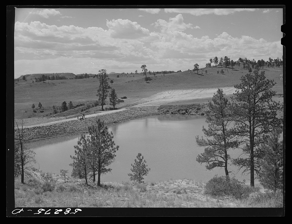 Reservoir for range cattle just finished on Lyman Brewster's lease. Near Lame Deer, Montana. Sourced from the Library of…