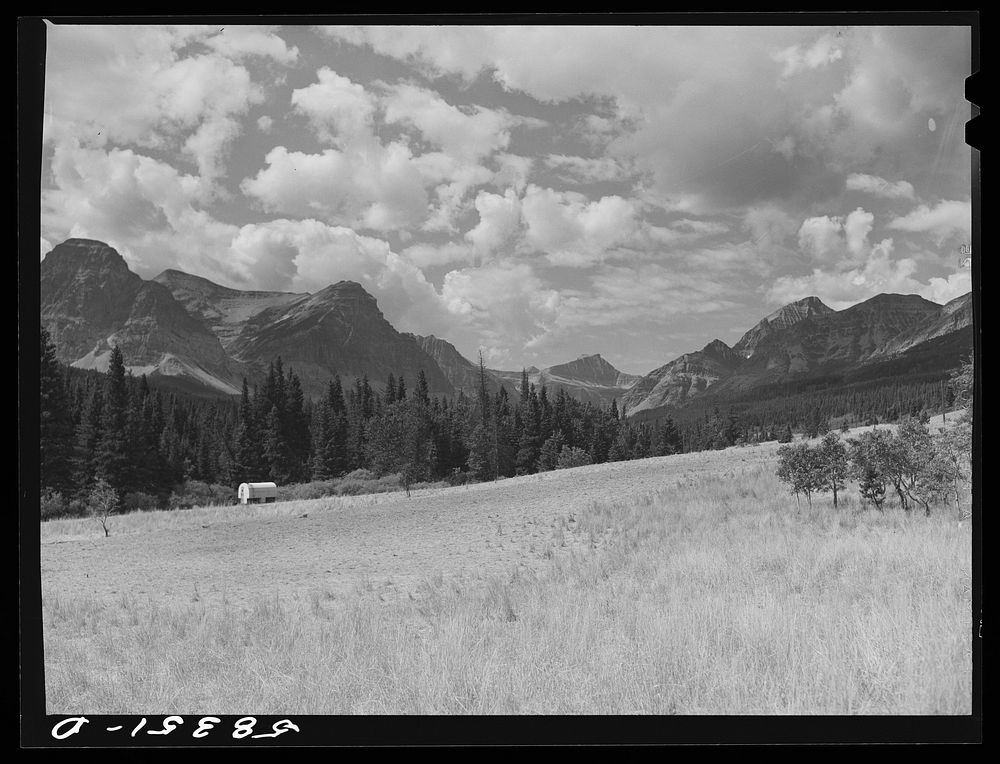 Sheepherder's wagon on summer grazing lands. Glacier National Park, Montana. Sourced from the Library of Congress.