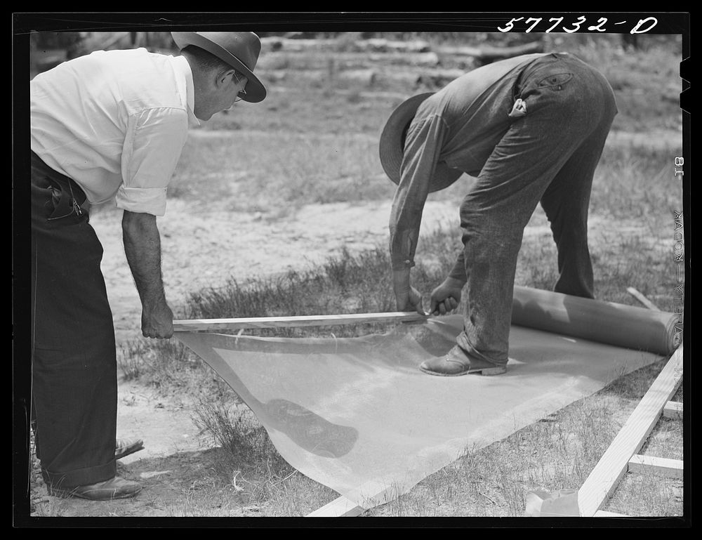 Assembling screen wire battens for covering window frames. Screening demonstration. Charles County, La Plata, Maryland.…