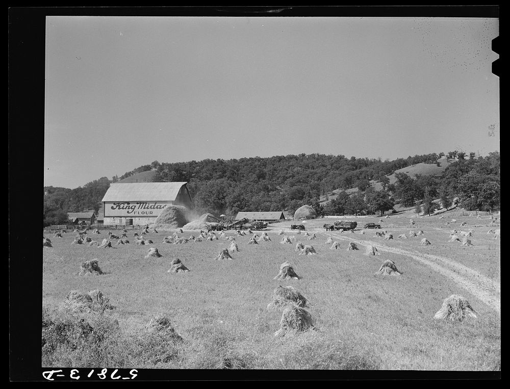 Thrashing wheat on farm along highway just north of Madison, Wisconsin. Sourced from the Library of Congress.
