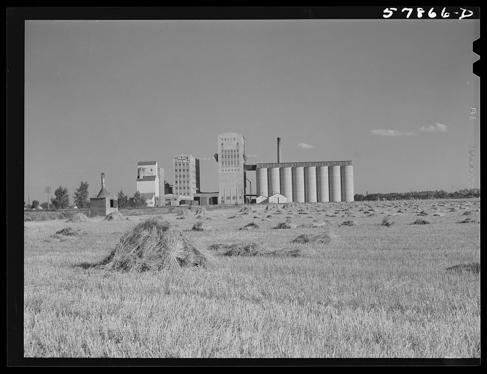 Stacks of wheat in field and flour mill with grain elevators. Grand Forks, North Dakota. Sourced from the Library of…