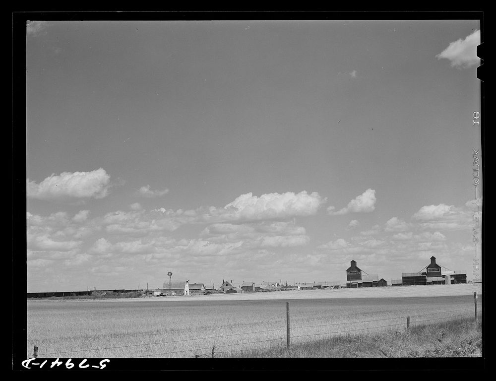 Wheat field, grain elevator. Froid, Montana. Sourced from the Library of Congress.