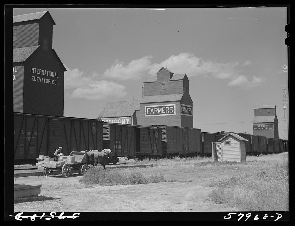 Loading freight on to wagon from station platform as the freight train is leaving Homestead, Montana. Sourced from the…