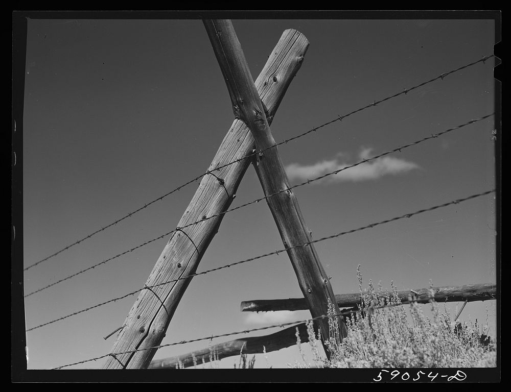 Fence posts and barbed wire around pasture and grazing lands. Near Granby, Colorado. Sourced from the Library of Congress.