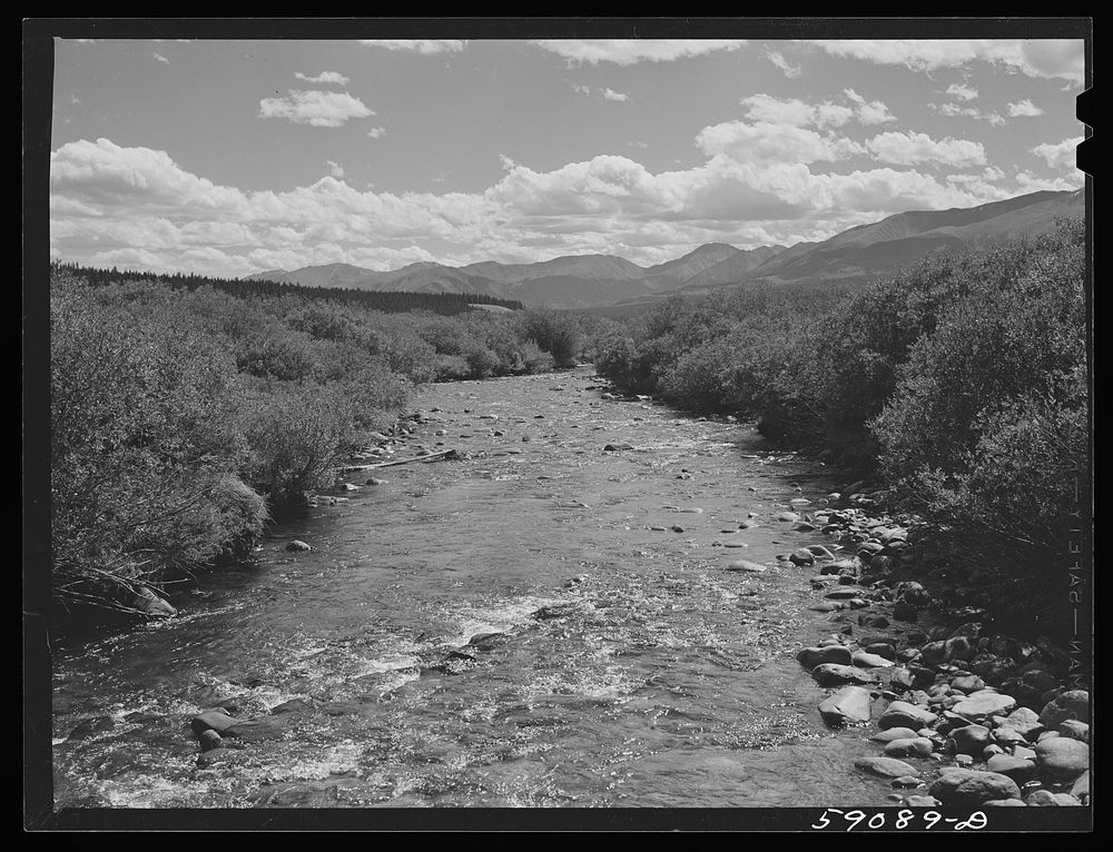 Fishing stream near Leadville, Colorado. Sourced from the Library of Congress.