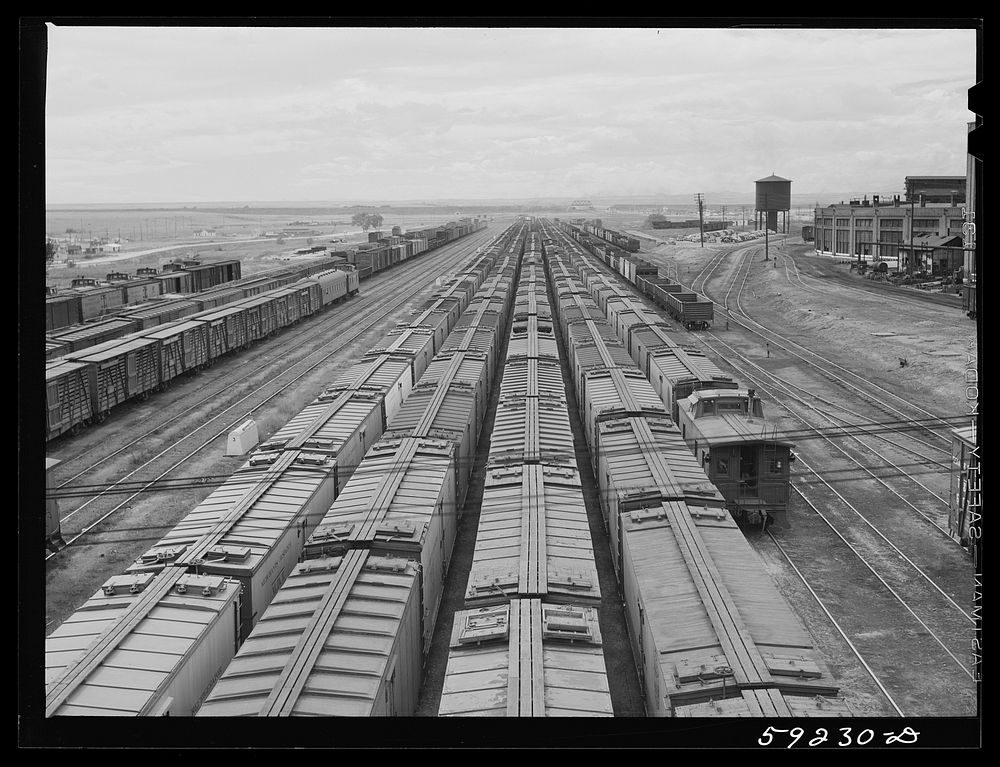 [Untitled photo, possibly related to: Freight trains in yards. Laramie, Wyoming]. Sourced from the Library of Congress.