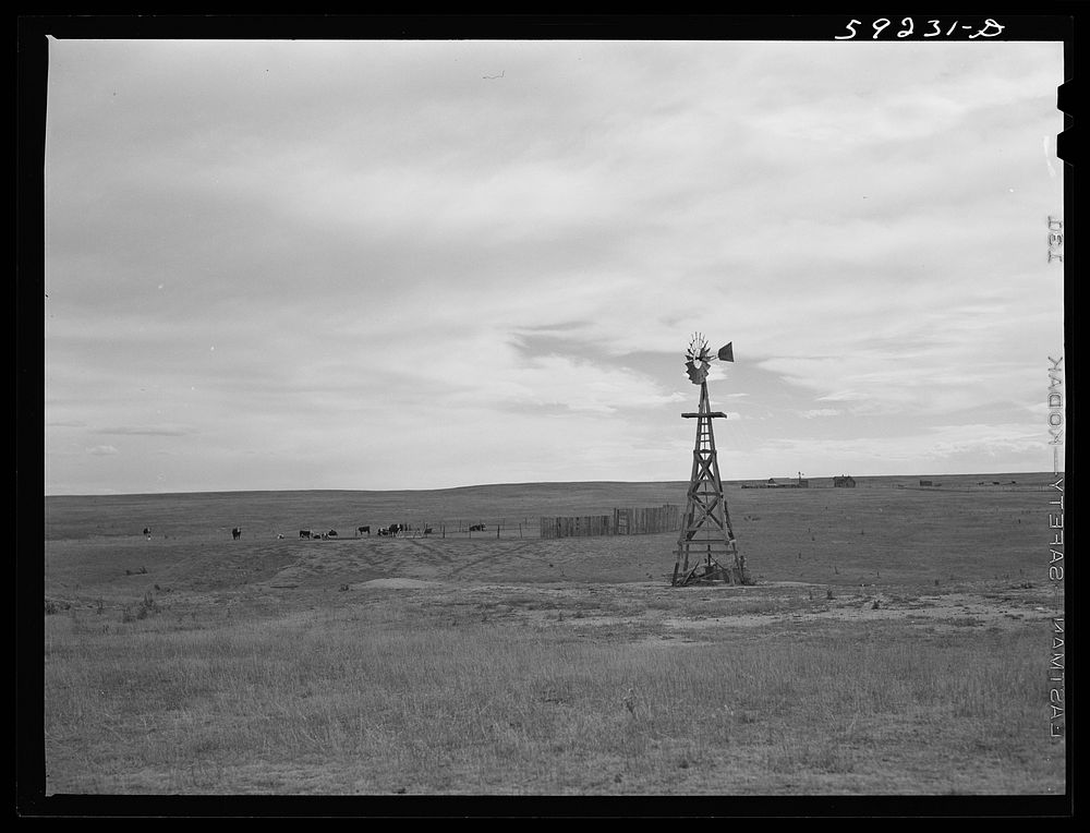 Windmill and cattle nearby for water. Ranch buildings in the background. Near Laramie, Wyoming. Sourced from the Library of…