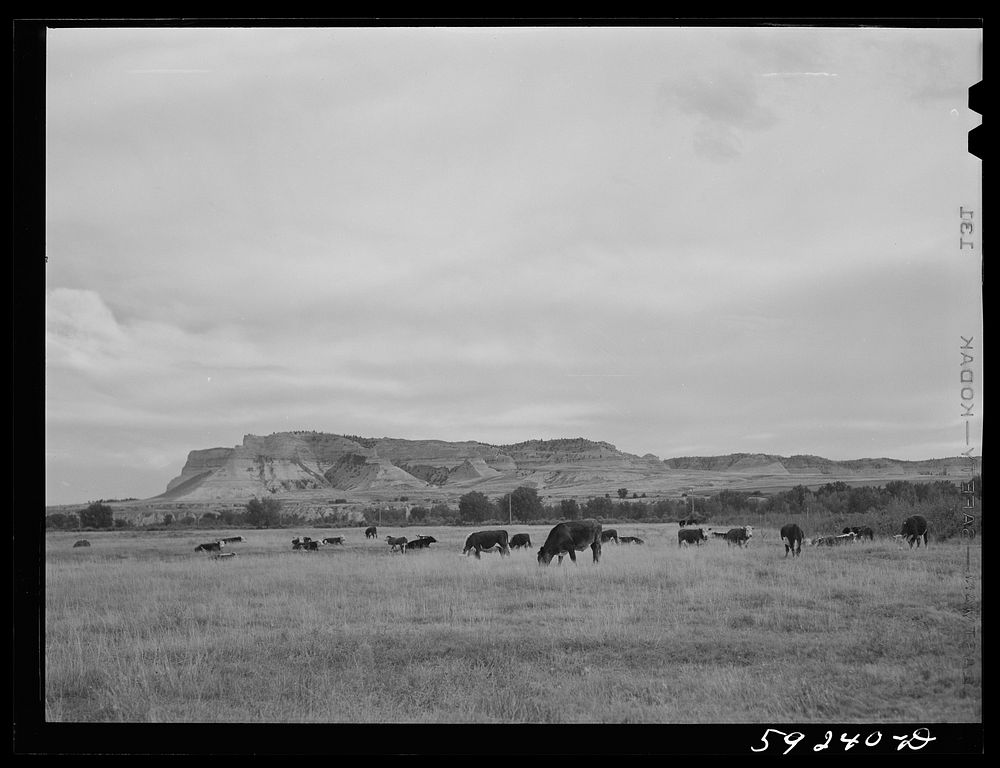[Untitled photo, possibly related to: Scottsbluff, Nebraska]. Sourced from the Library of Congress.