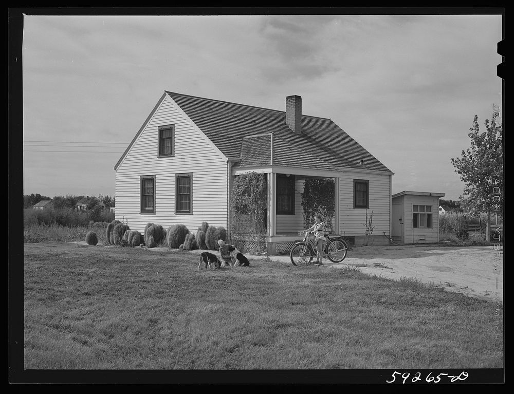 FSA (Farm Security Administration) project family's home. Scottsbluff, North Platte River Valley, Nebraska. Sourced from the…