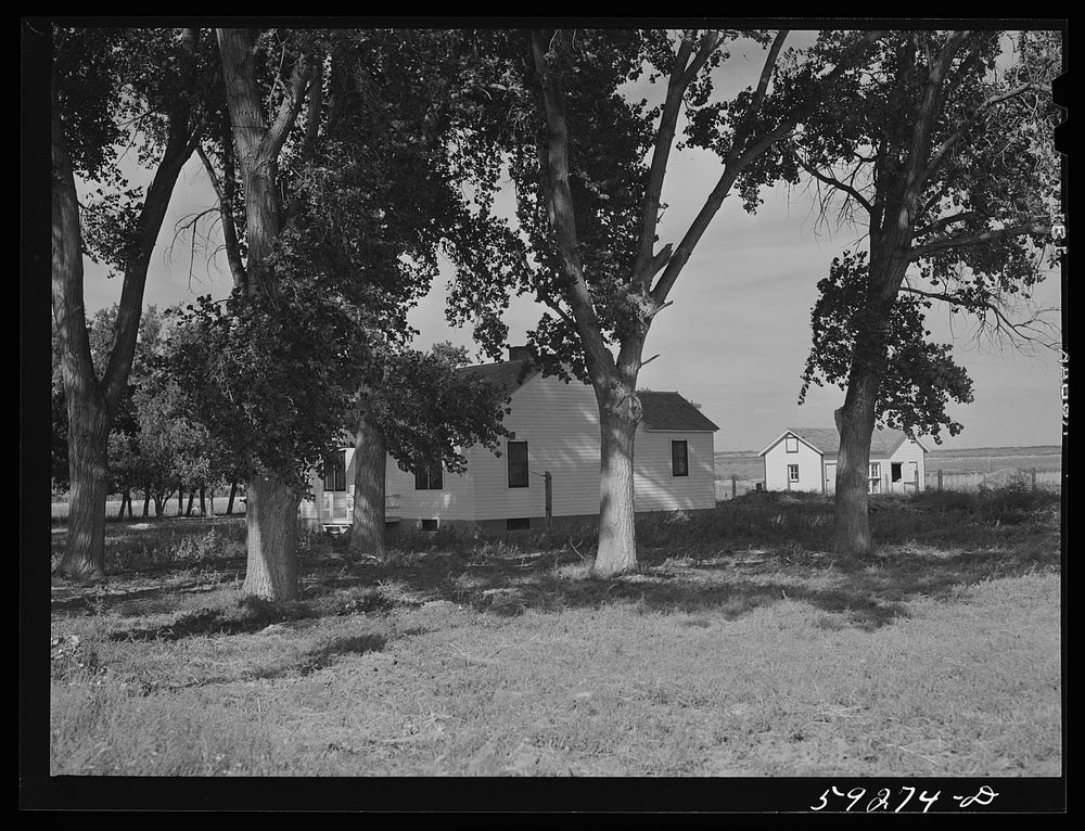 FSA (Farm Security Administration) project family's home. Scottsbluff, North Platte River Valley, Nebraska. Sourced from the…