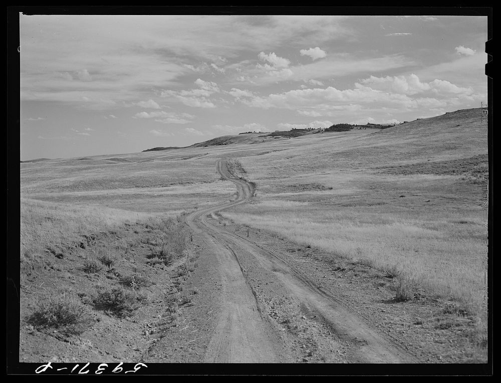 Grazing land and grass on King ranch. Laramie, Wyoming. Sourced from the Library of Congress.