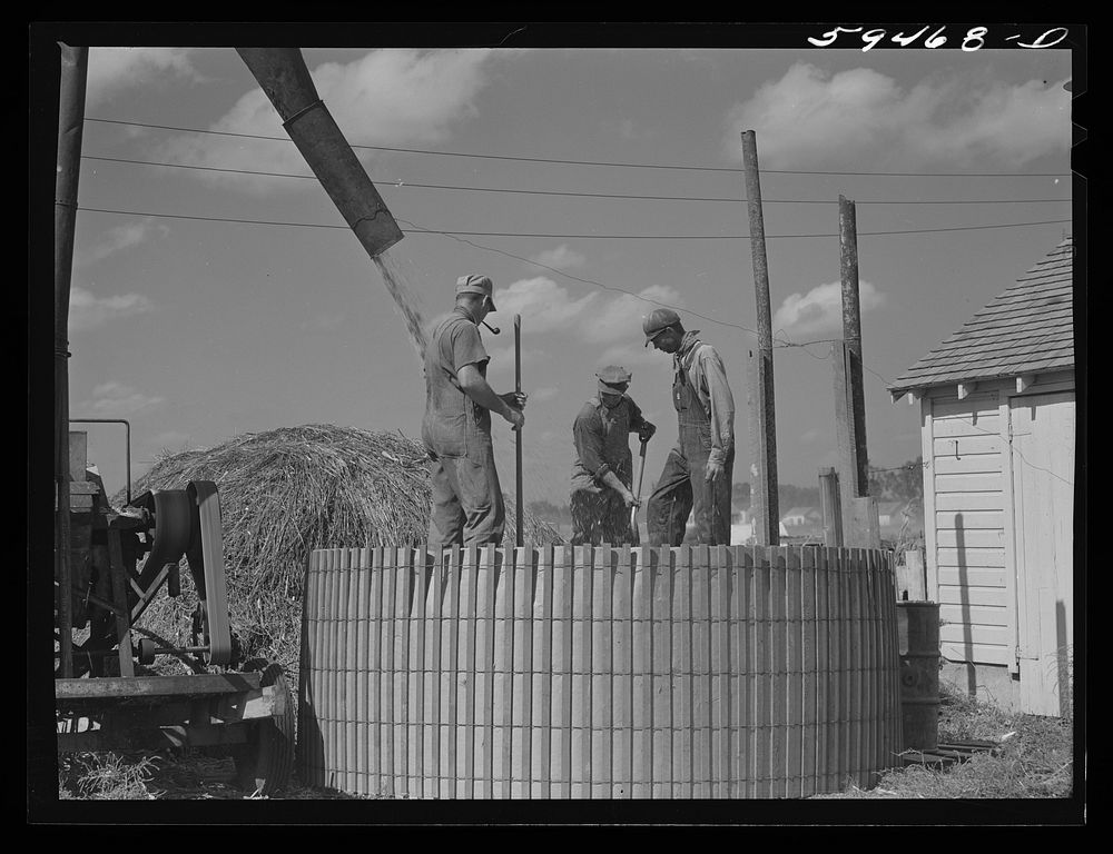 Members of the co-op filling a member's silo with corn. Two River Non-Stock Cooperative, FSA (Farm Security Administration)…