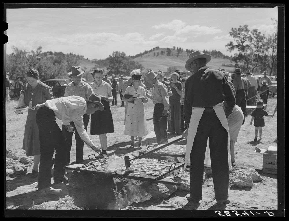 [Untitled photo, possibly related to: Barbecuing beef at the stockmen's picnic and barbecue. Spears Siding, Wyola, Montana].…