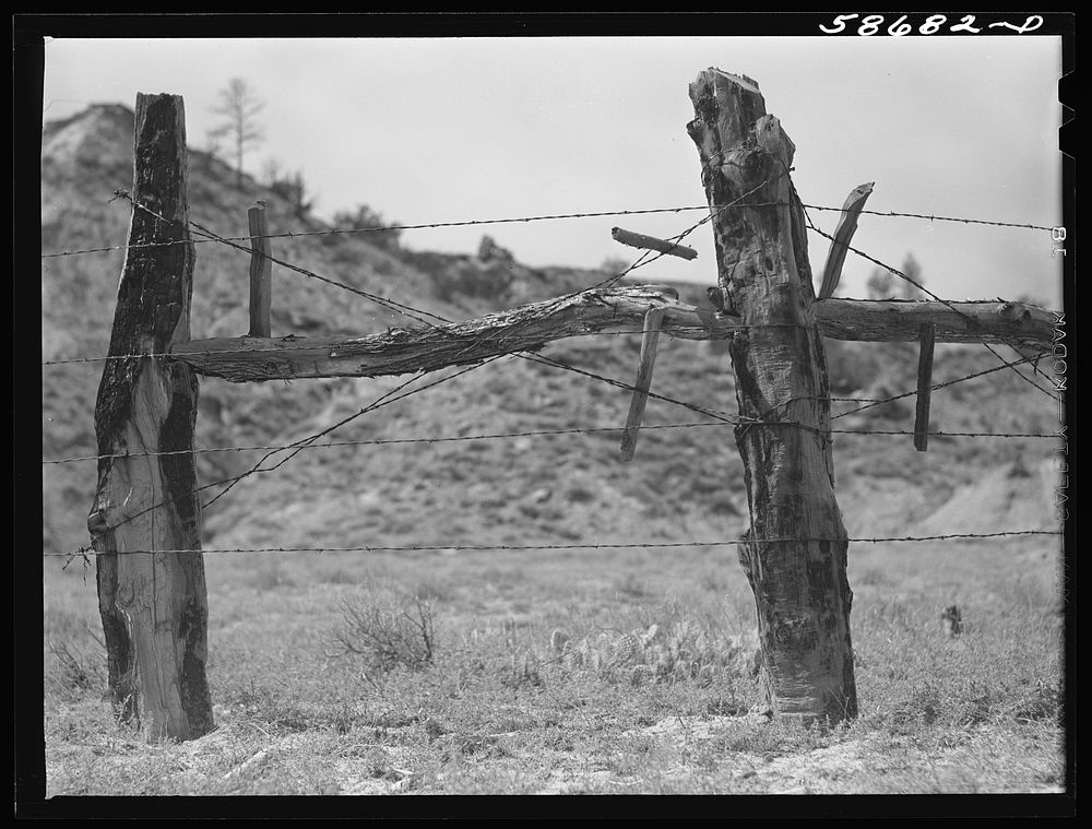 Fence around ranch grazing lands. Near Birney, Montana. Sourced from the Library of Congress.