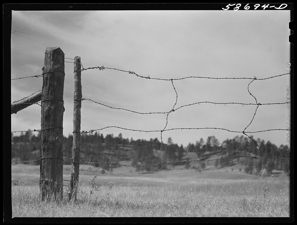 Fence around ranch grazing lands. Near Birney, Montana. Sourced from the Library of Congress.
