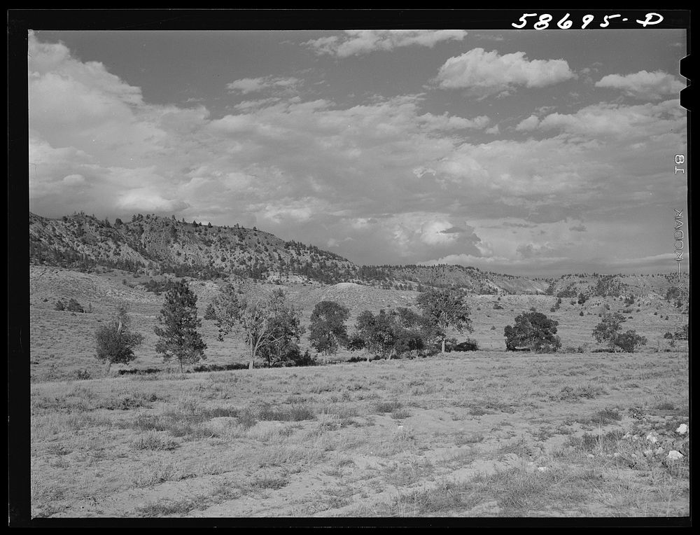 Grazing land near Birney, Montana. Sourced from the Library of Congress.