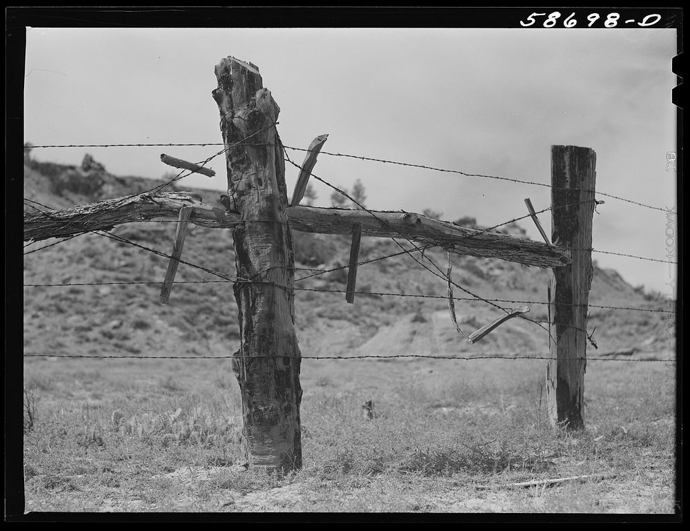 [Untitled photo, possibly related to: Fence around ranch grzing lands. Near Birney, Montana]. Sourced from the Library of…