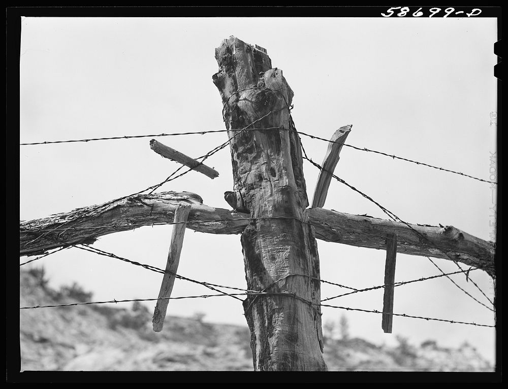 Fence around ranch grzing lands. Near Birney, Montana. Sourced from the Library of Congress.