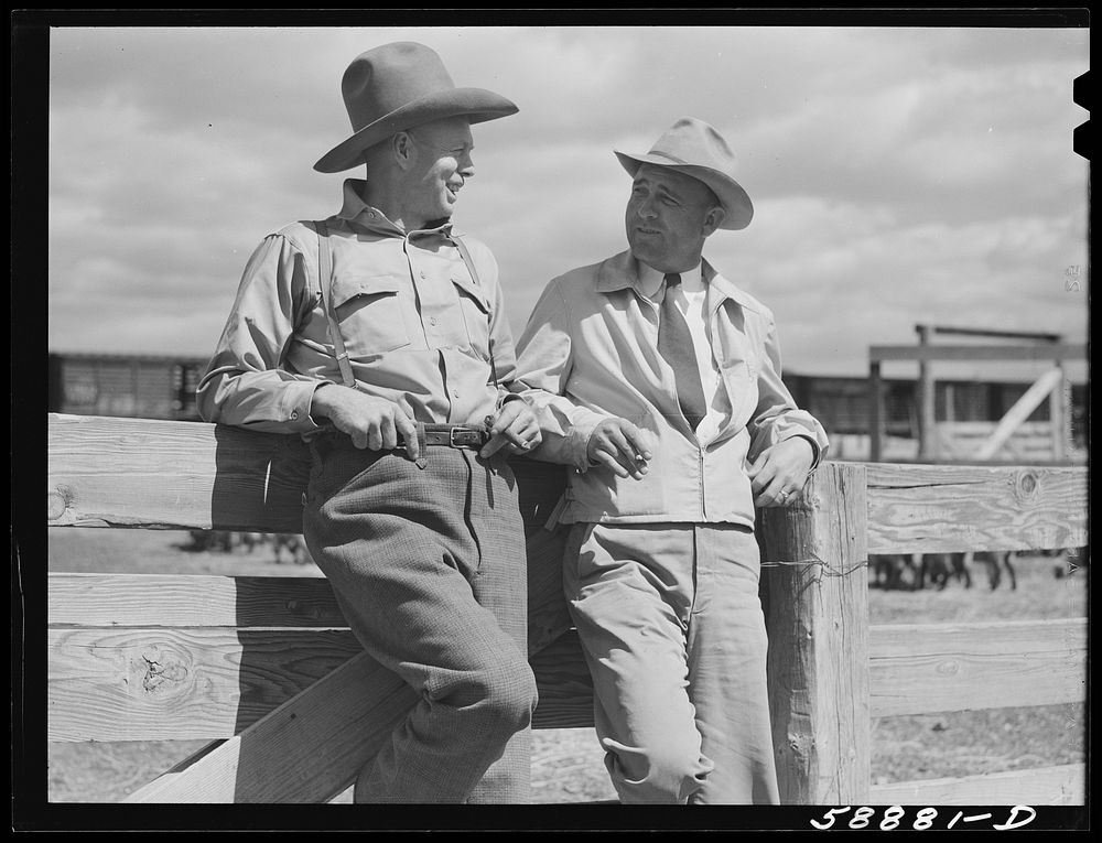 "Doc" Conway, rancher from Craig, Colorado talking to Beckman, commission merchant from Denver stockyards, by livestock pens…