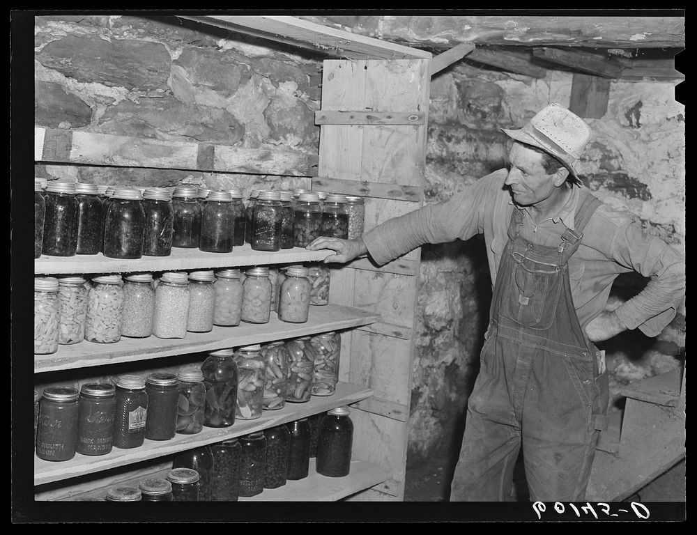 FSA (Farm Security Administration) rehabilitation borrower looking over his wife's supply of homegrown, home-canned produce.…