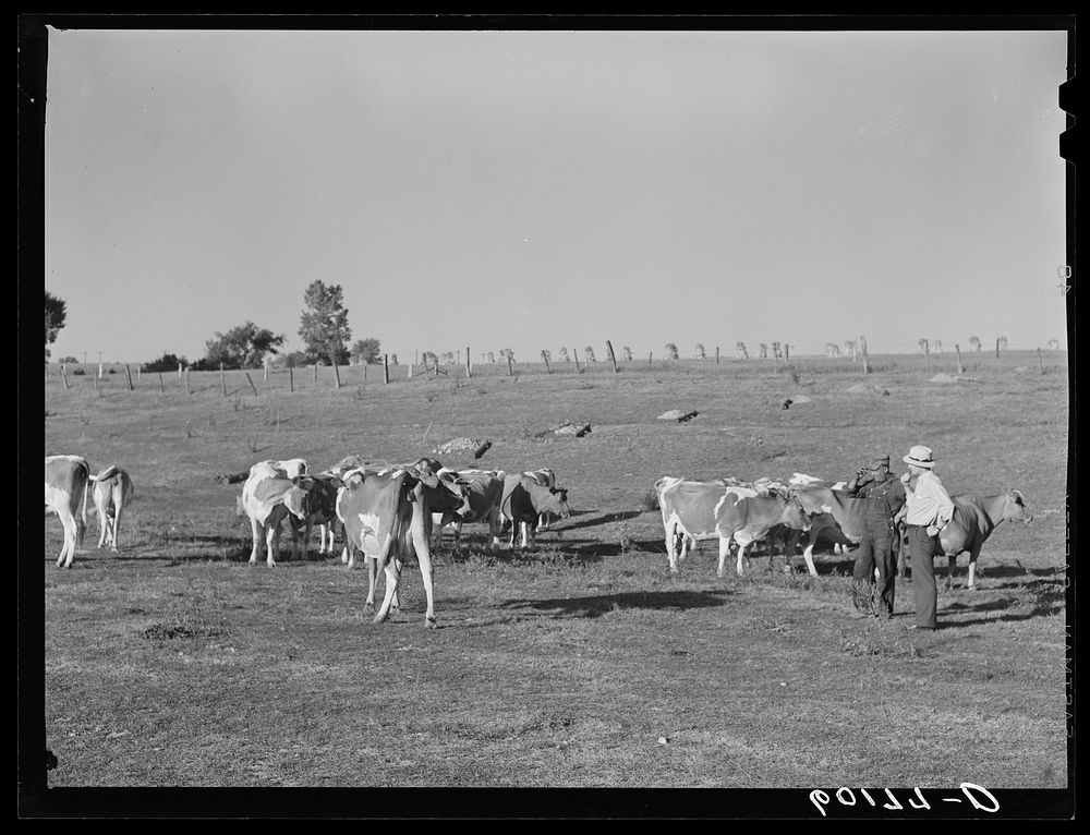 [Untitled photo, possibly related to: FSA (Farm Security Administration) rehabilitation borrower. Grant County, Wisconsin].…