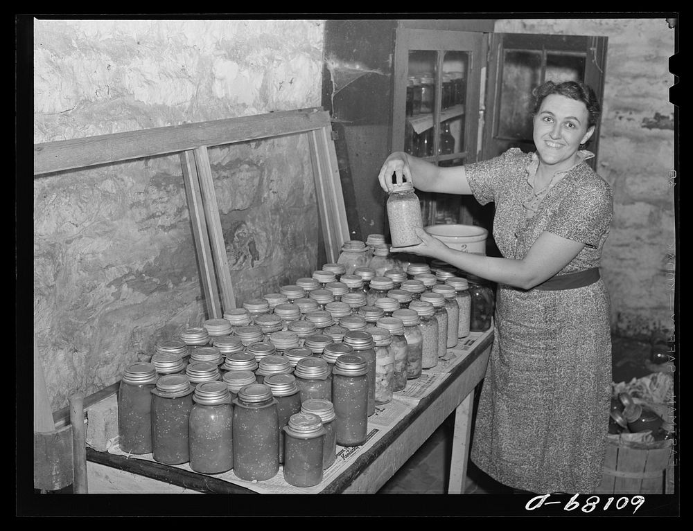 Wife of FSA (Farm Security Administration) rehabilitation borrower with home-canned produce. Grant County, Wisconsin.…