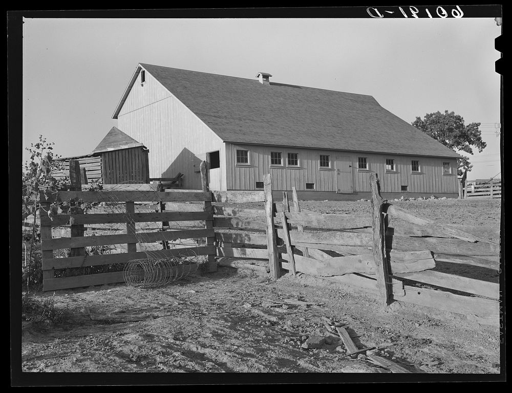 New barn of FSA (Farm Security Administration) rehabilitation borrower. Grant County, Wisconsin. Sourced from the Library of…