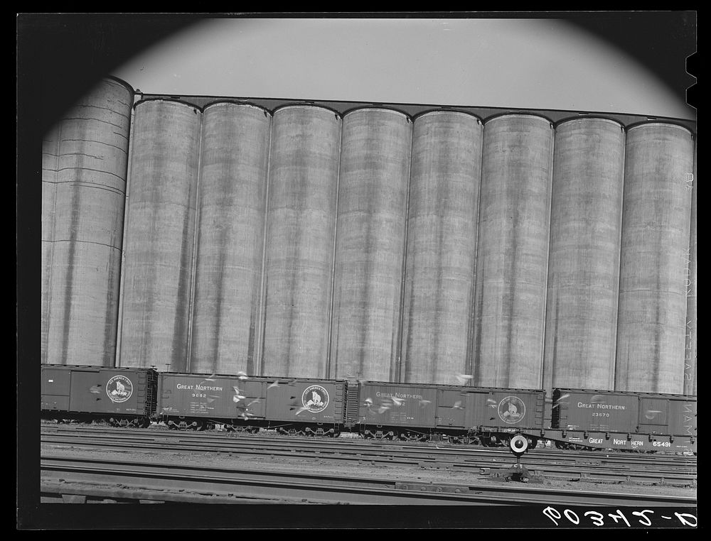 [Untitled photo, possibly related to: Grain elevators with freight cars unloading. Minneapolis, Minnesota]. Sourced from the…