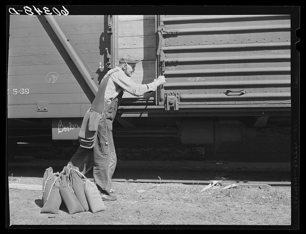 Grain sampler opening door of car of wheat after breaking seal. Minneapolis, Minnesota. Sourced from the Library of Congress.