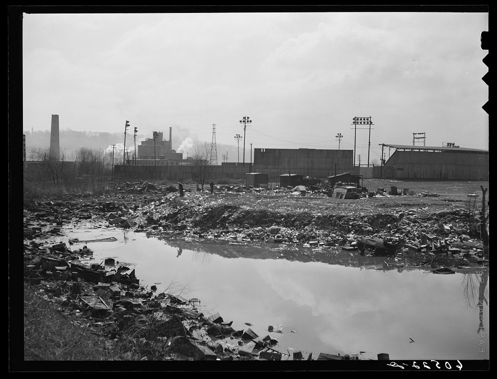 [Untitled photo, possibly related to: Stream pollution. City dump. Dubuque, Iowa]. Sourced from the Library of Congress.