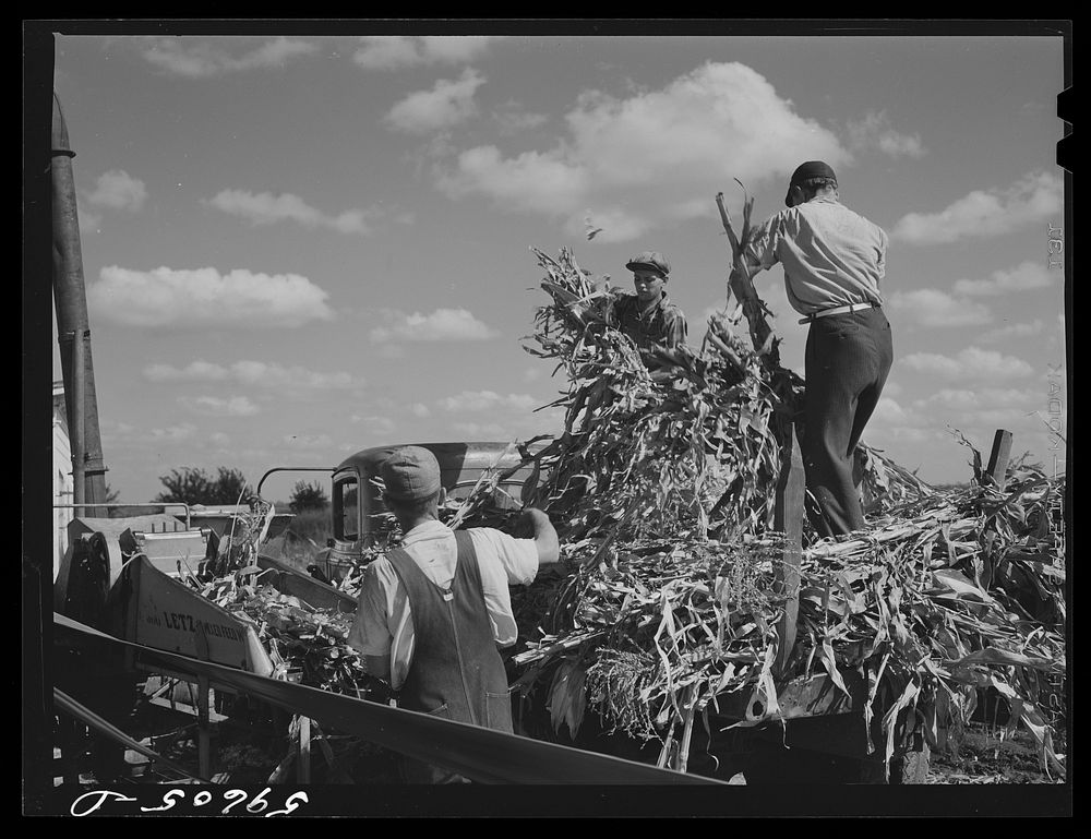 Members of the co-op filling a member's silo with corn. Two Rivers Non-Stock Cooperative, FSA (Farm Security Administration)…