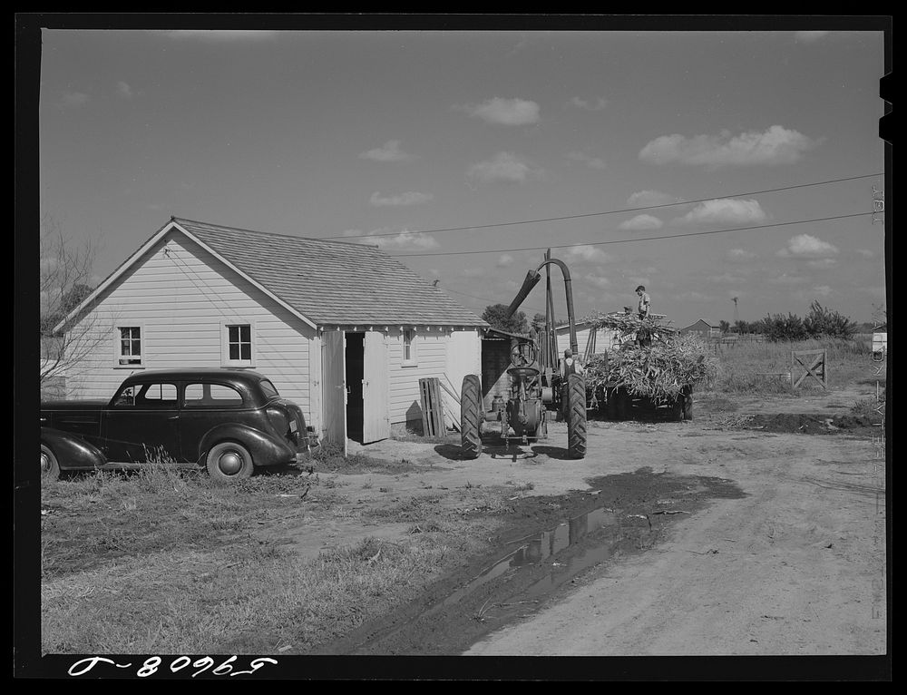 [Untitled photo, possibly related to: Members of the co-op filling a member's silo with corn. Two River Non-Stock…