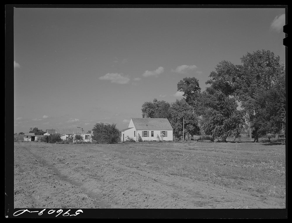 Houses at Two Rivers Non-Stock Cooperative, a FSA (Farm Security Administration) co-op. Waterloo, Nebraska. Sourced from the…