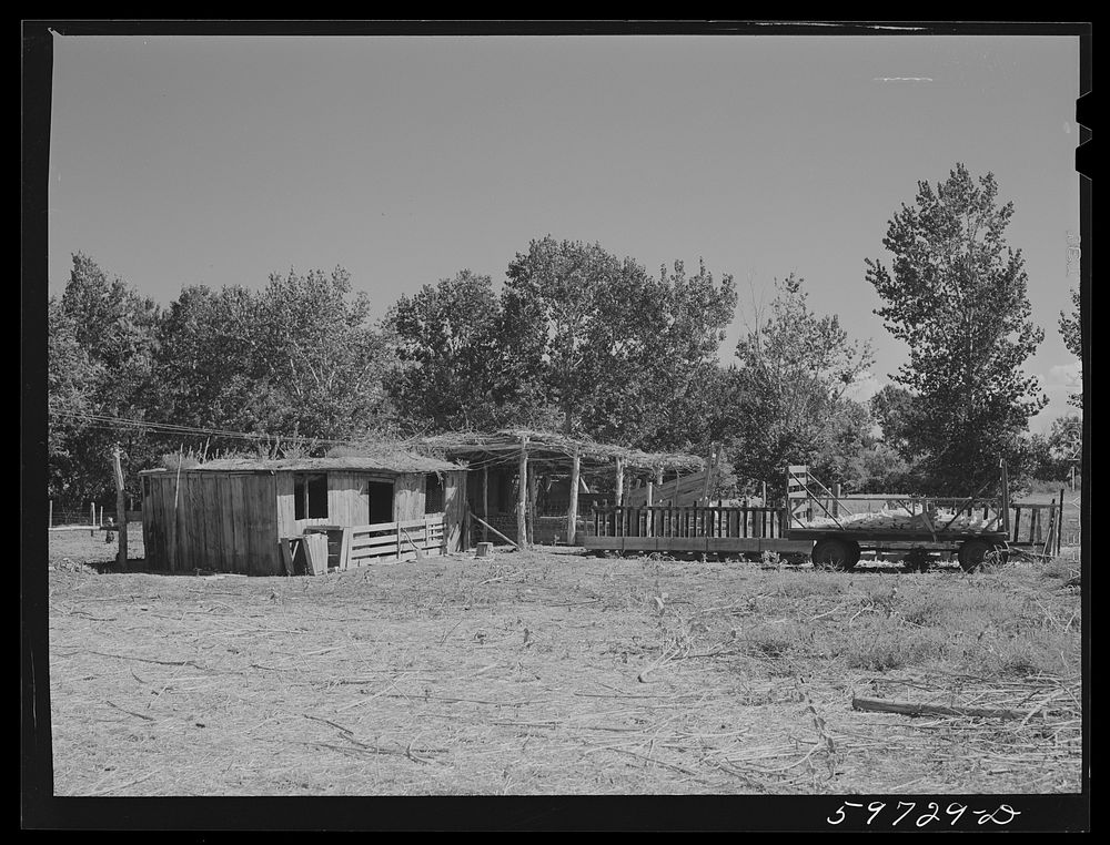 Buildings on A.E. Scott's farm northeast of Scottsbluff, Nebraska (see general caption number one). Sourced from the Library…