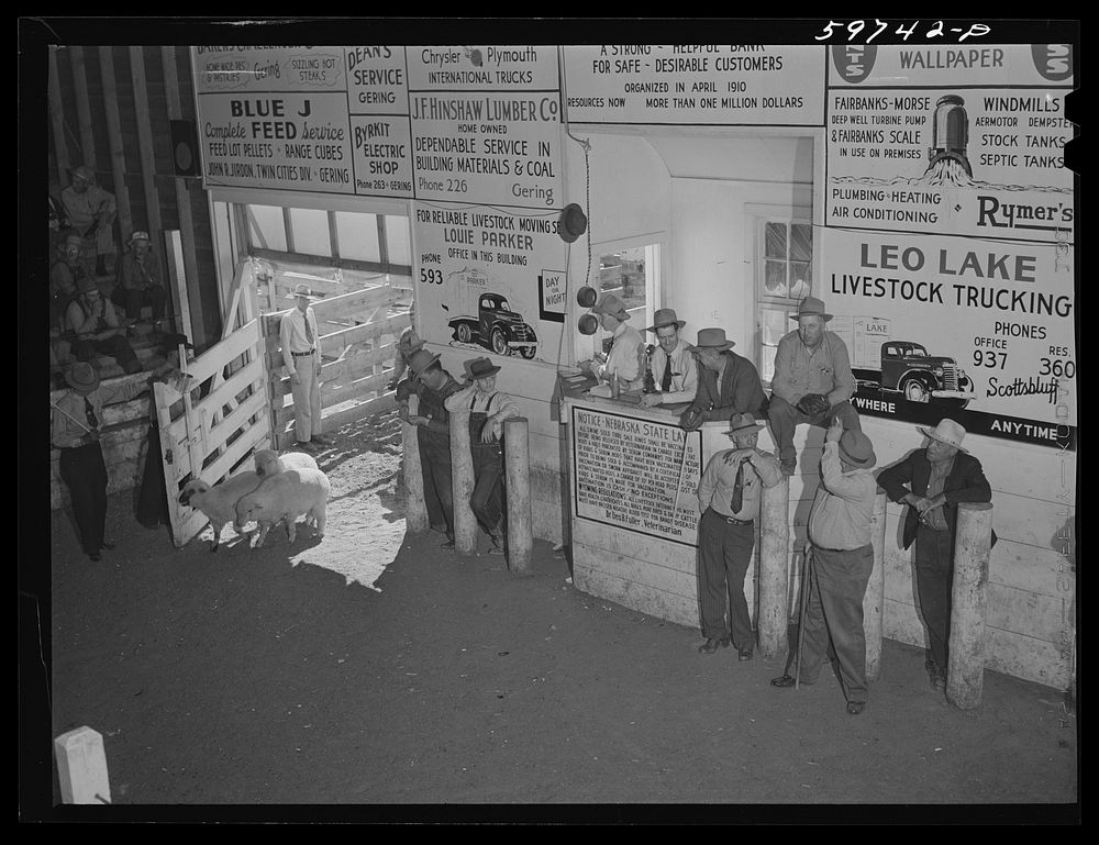 Auction at Union Livestock Commission Company, Gering, Nebraska. Sourced from the Library of Congress.