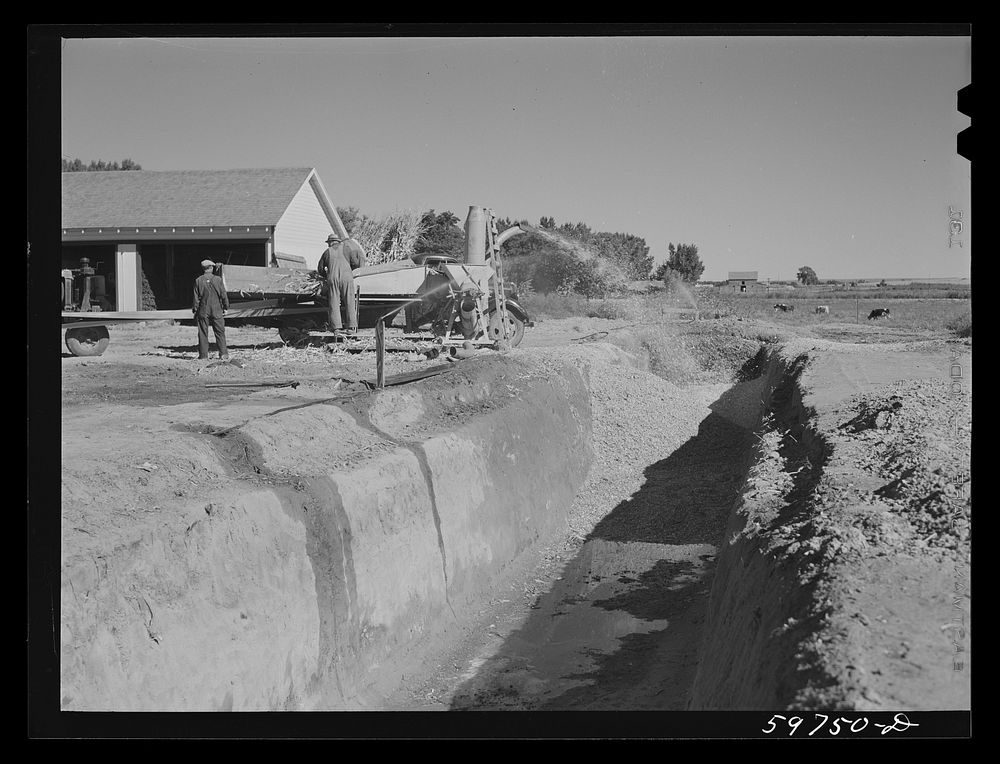 [Untitled photo, possibly related to: Filling the trench silo on Scottsbluff Farmsteads, FSA (Farm Security Administration)…