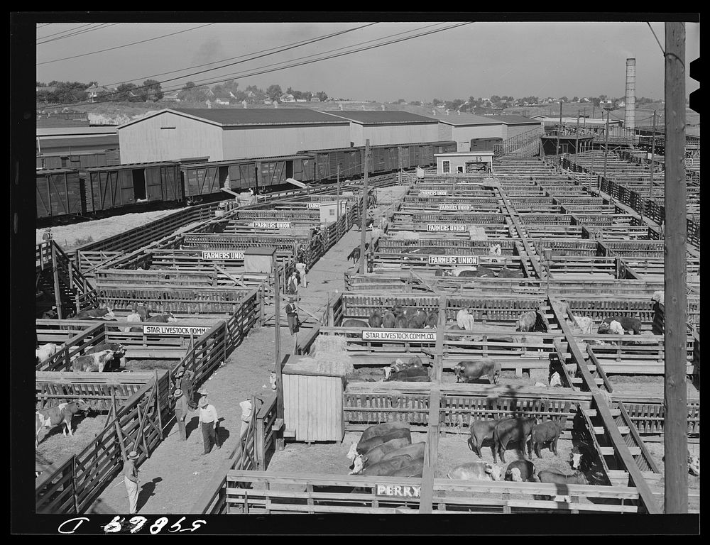 Stockyards. Wichita, Kansas. Sourced from the Library of Congress.