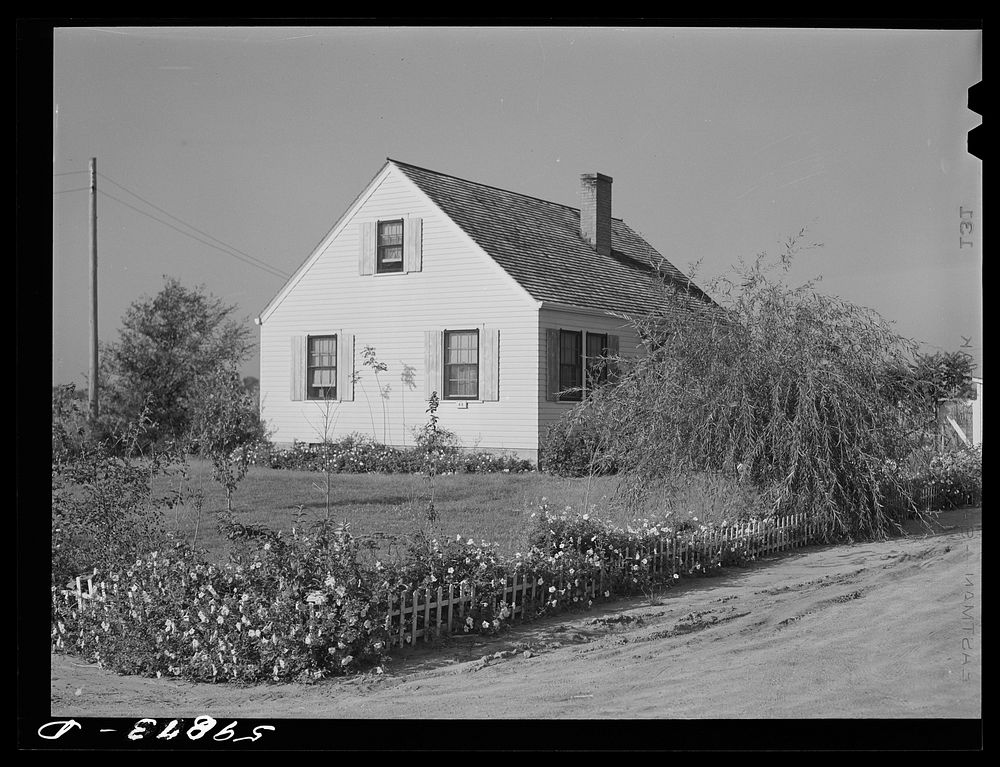 Home of family on FSA (Farm Security Administration) project. Two Rivers, Waterloo, Nebraska. Sourced from the Library of…