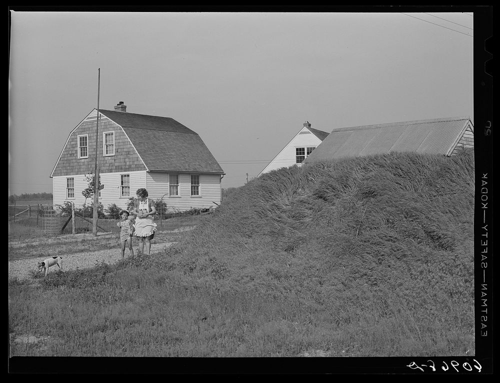 Storage house with grass embankment. Deshee Unit, Wabash Farms, Indiana. Sourced from the Library of Congress.
