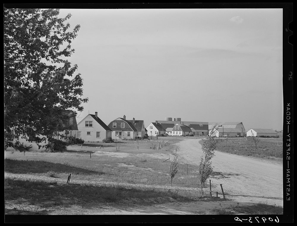 [Untitled photo, possibly related to: Deshee Unit, Wabash Farms, Indiana. A cooperative farming enterprise of about fifty…