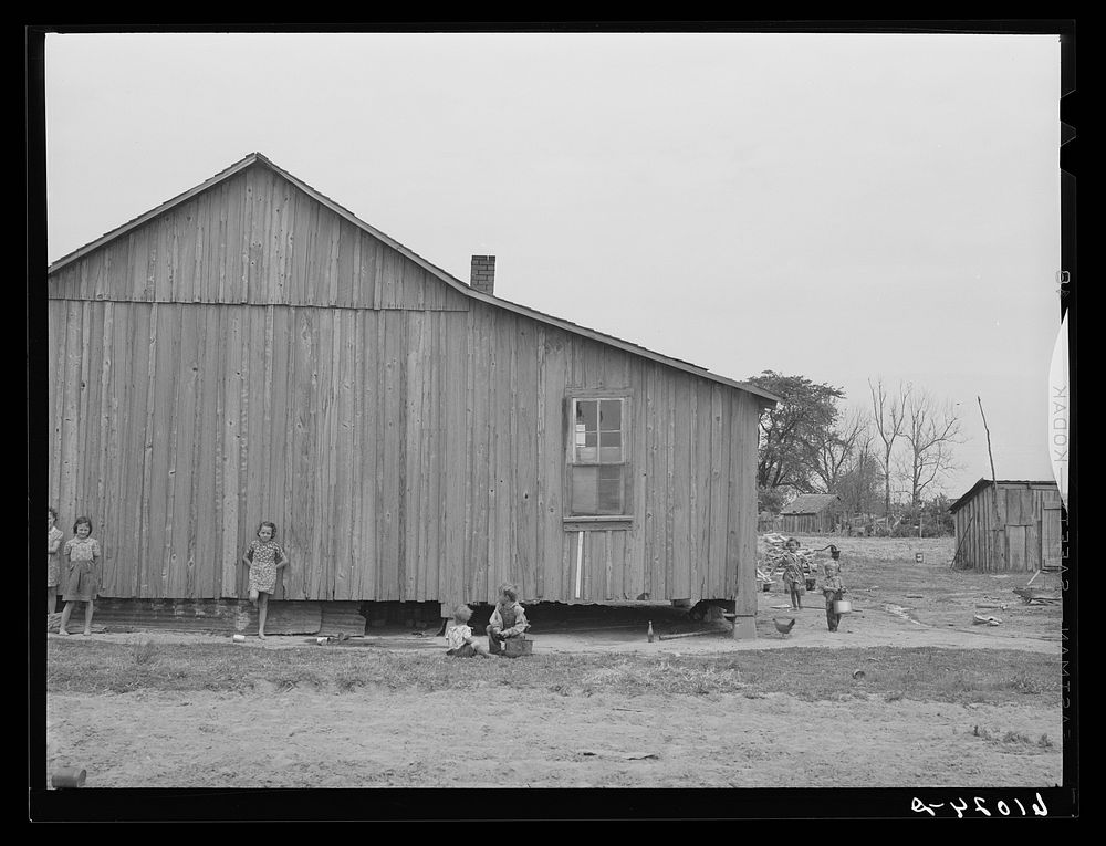 [Untitled photo, possibly related to: Sharecropper shack. New Madrid County, Missouri]. Sourced from the Library of Congress.