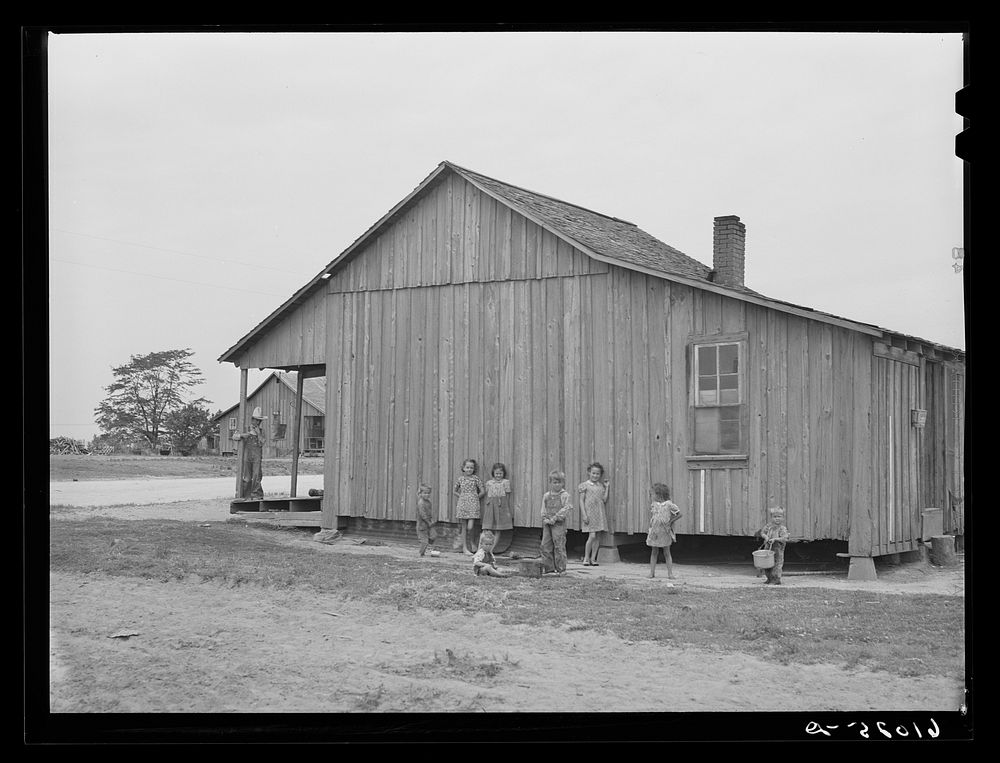 Sharecropper shack. New Madrid County, Missouri. Sourced from the Library of Congress.