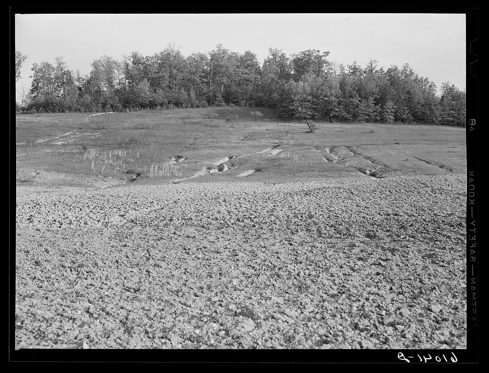 Eroded land in hilly Ozark farm country, Missouri. Sourced from the Library of Congress.