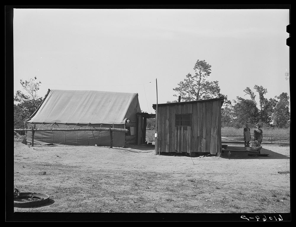 Shack and tent occupied by family on poor farmland along the riverbottoms. New Madrid County, Missouri. This family will…