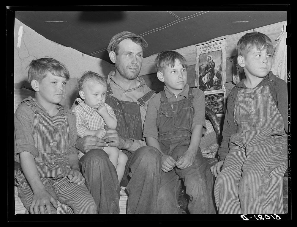 Migrant father and sons living in back of truck in fruit pickers camp. Berrien County, Michigan. The two older boys work…